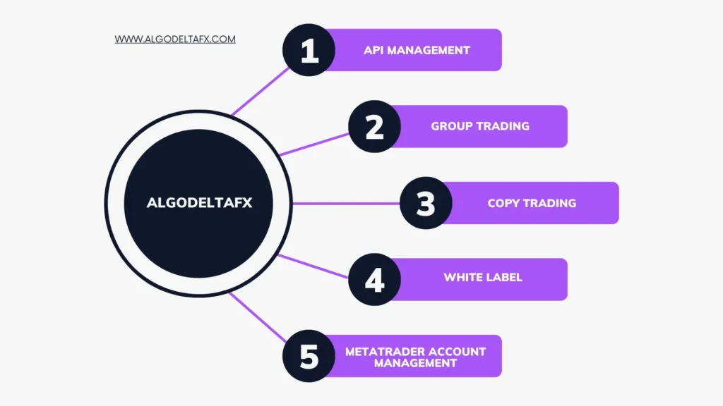 Best Forex Copy Trading Software & APIs