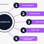 Best Forex Copy Trading Software & APIs