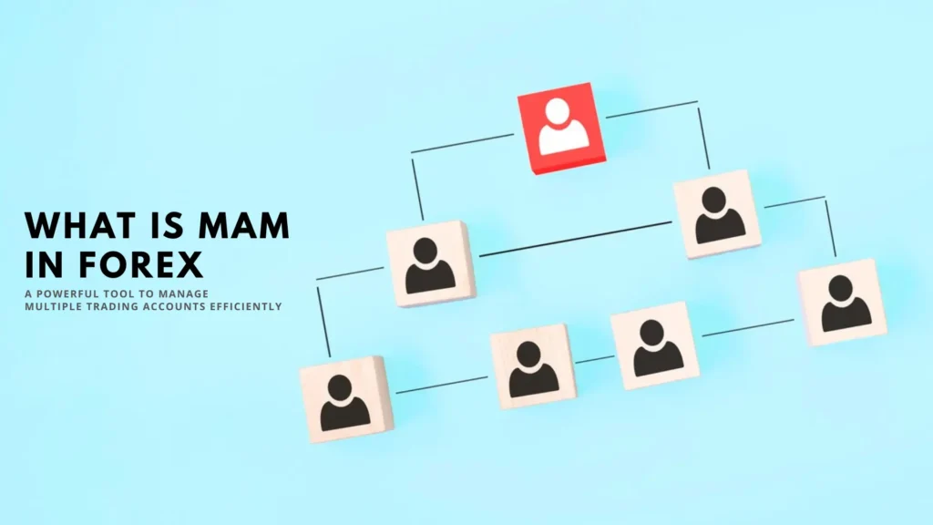 What is MAM in Forex Trading?