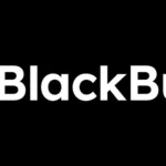 Copy trading with Black Bull Markets